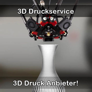 3D Druckservice in Wunstorf
