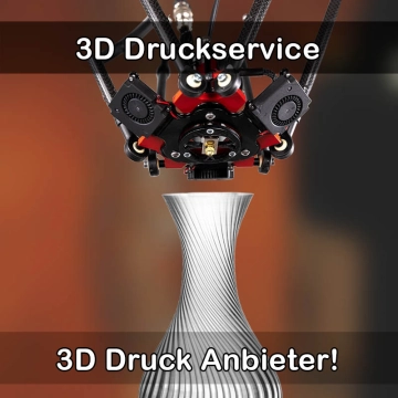 3D Druckservice in Wurmannsquick