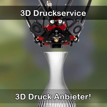 3D Druckservice in Wutöschingen